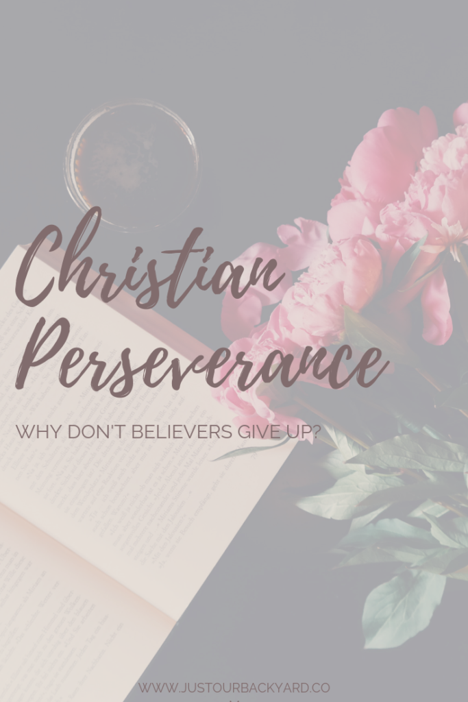running the race with biblical perseverence