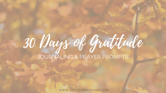 journaling prompts for gratitude and thanksgiving prayers